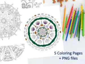 5 Hand Drawn Seashell Mandala Coloring Pages
